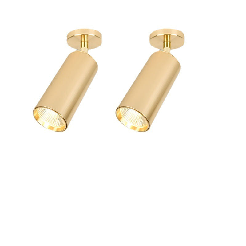 Golden Strip Light Simple Living Room Shop Restaurant Clothing Store Away Shoot Lamps