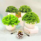 Mini Half - Sphere Artificial Potted Plant