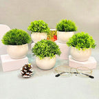 Mini Half - Sphere Artificial Potted Plant