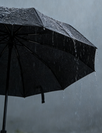 Fully Automatic Double-Layer Business Folding Umbrella