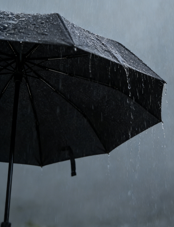Fully Automatic Double-Layer Business Folding Umbrella