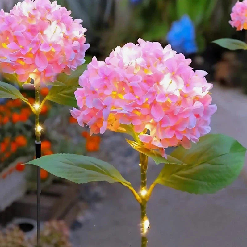 Everbloom Solar Flower Lights