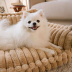 PawComfort - Washable comfortable soft pet sofa