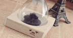 Magnetic Hourglass