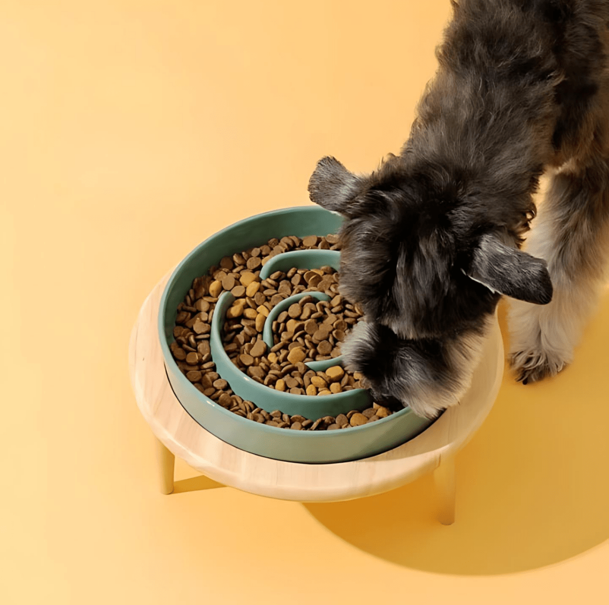 Premium Slow Feeder Bowl for Dogs & Cats