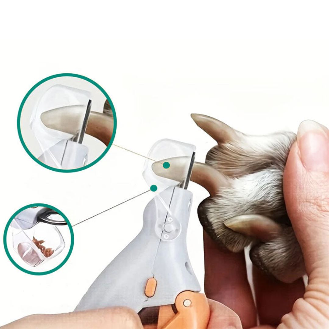 PawSure | Pet Nail Clipper - Quick Sensor - LED Light - Safety Guard - Stainless Steel Blades - Safe, Easy and Precise Nail Trimming