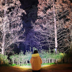Wide-beaming LED Headlamp - NightGuide