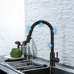 Sensor kitchen faucet