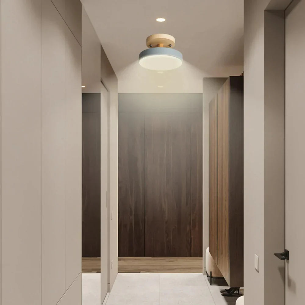 Compact Modern LED Ceiling Lamp