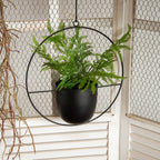 Luxury Modern Hanging Pots