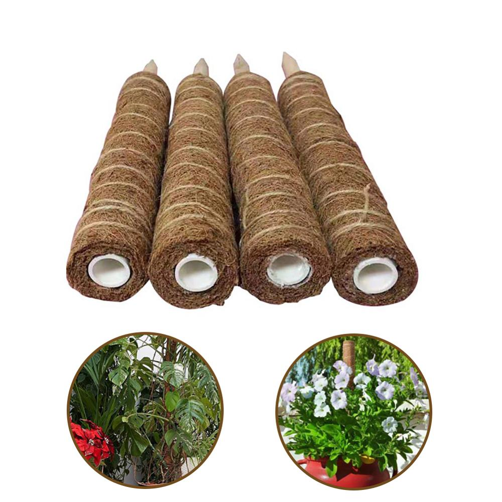 Coconut moss stick for climbing plants – Natural climbing aid for houseplants and garden