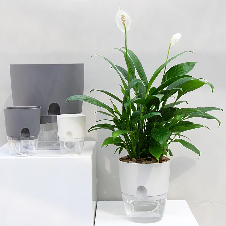 Self Watering Planter