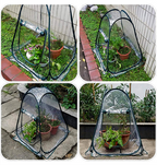 Compact Plant Protection Tent for Garden Plants – Transparent Greenhouse