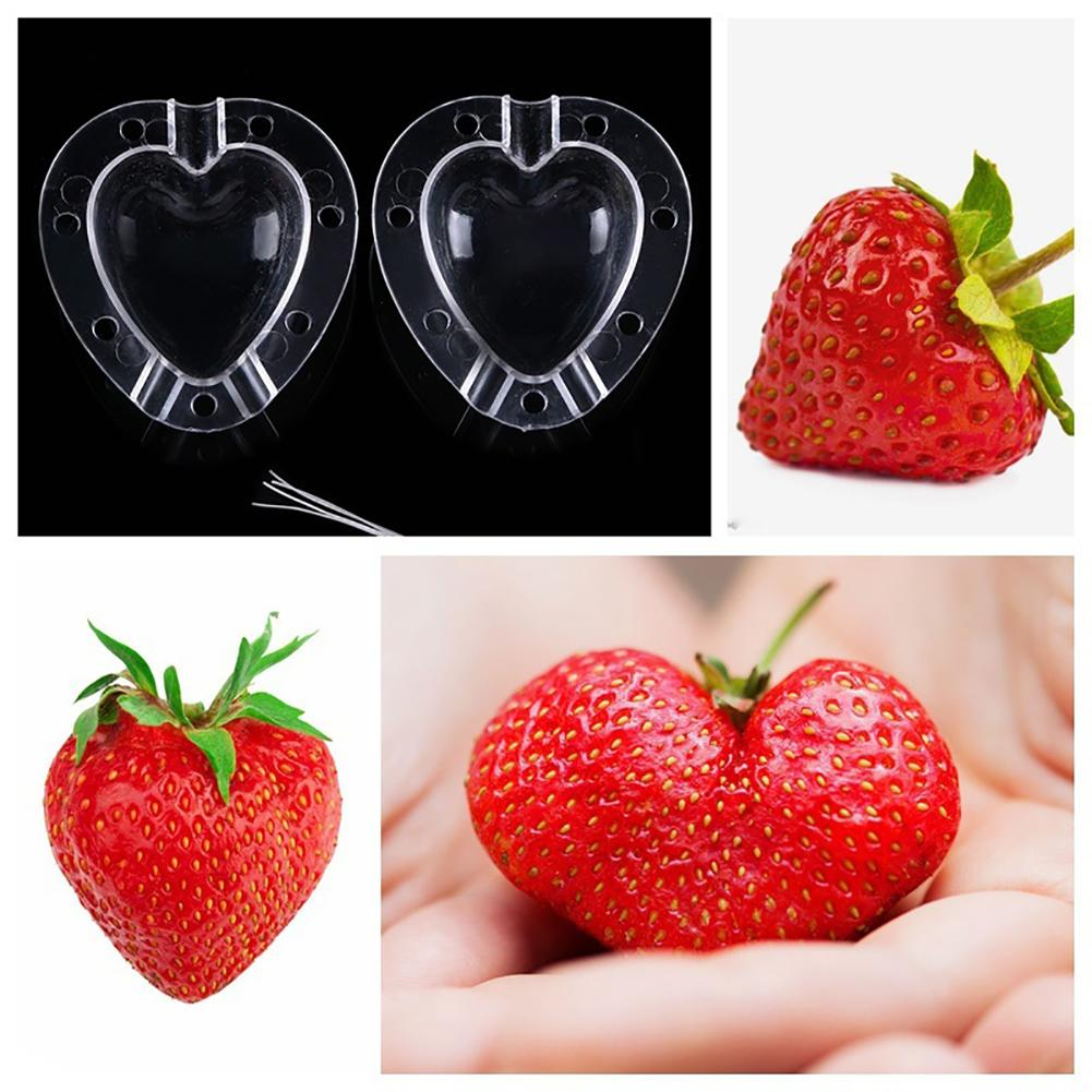 Heart Shaped Vegetable Cutter – Creative Mold Bowl for Vegetables and Fruits