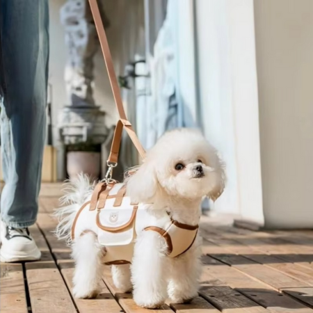 Multi-Function Pet Harness and Carrier Backpack for Small Dogs and Cats