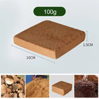 3+2 | Organic Coconut Fiber Brick – Collected from Pacific Islands