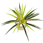 Artificial Grass Plant – Decorative Plant for Home and Office