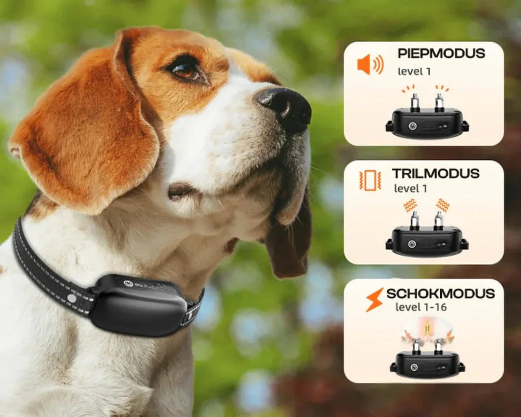 Dog Coach Pro Training Collar – Waterproof Electronic Collar with Remote Control