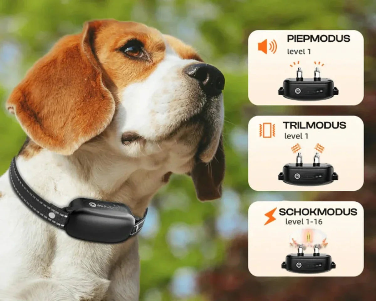Dog Coach Pro Training Collar – Waterproof Electronic Collar with Remote Control
