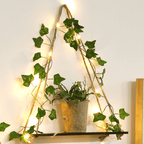 Backlit Shelf for Modern Decoration