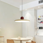 UFO Restaurant Pendant Light