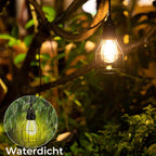 LuxeLicht Solar Lamp - Sustainable and Energy-Efficient Outdoor Light