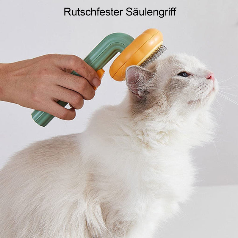 Pumpkin Comb Brush for Pets