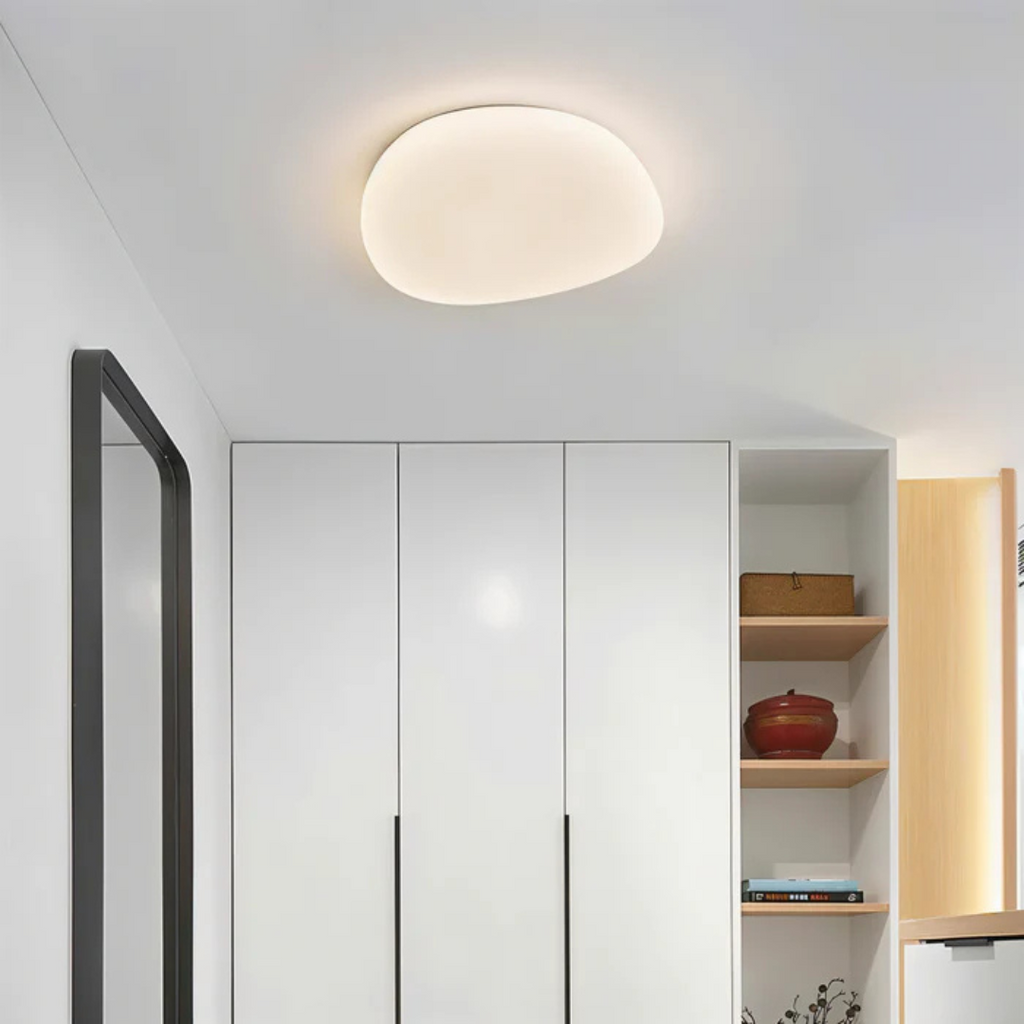 Stylish LED Ceiling Lamp