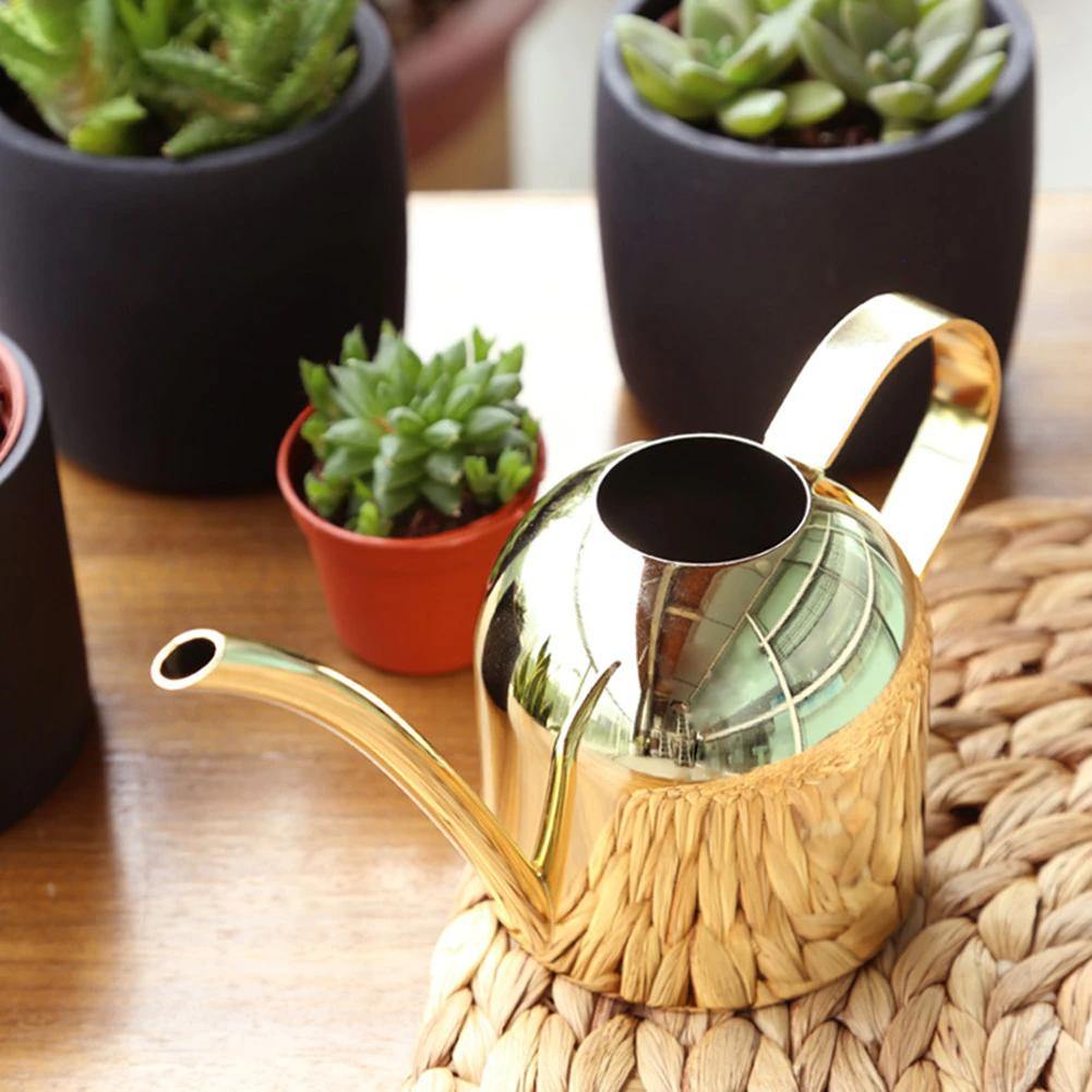 Stainless Steel Watering Can with Flexible Neck | Modern Design | Perfect Watering | Rustproof