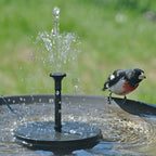 Solar Powered Bird Fountain With Lights