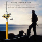 Pocket fishing rod