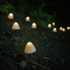 LED Solar String Lights Ground Stake Mushroom Lights