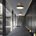 Compact Modern LED Ceiling Lamp