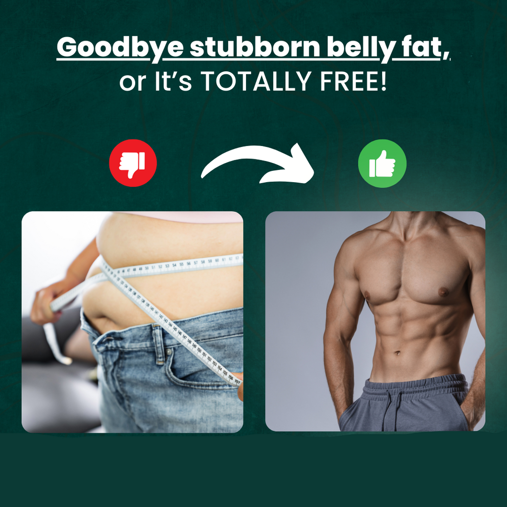 Abdominal Exerciser | Fitness Machine for Muscle Trainer | Equipment for Abs Workouts