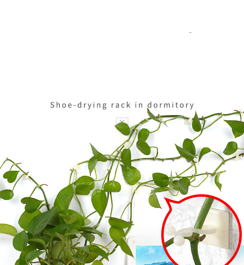Climbing Wall Mounting Clips – Practical Plant Holders for Wall Decoration