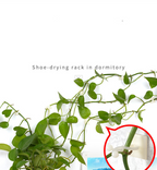 Climbing Wall Mounting Clips – Practical Plant Holders for Wall Decoration