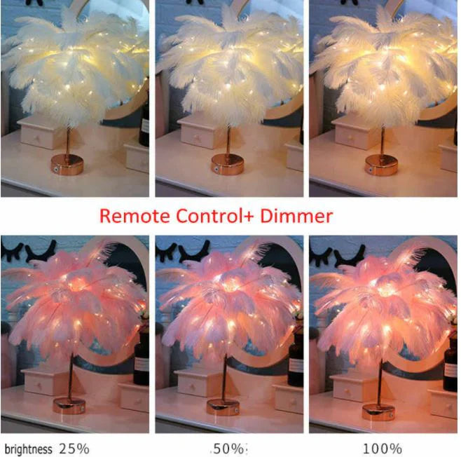 Feather lamp