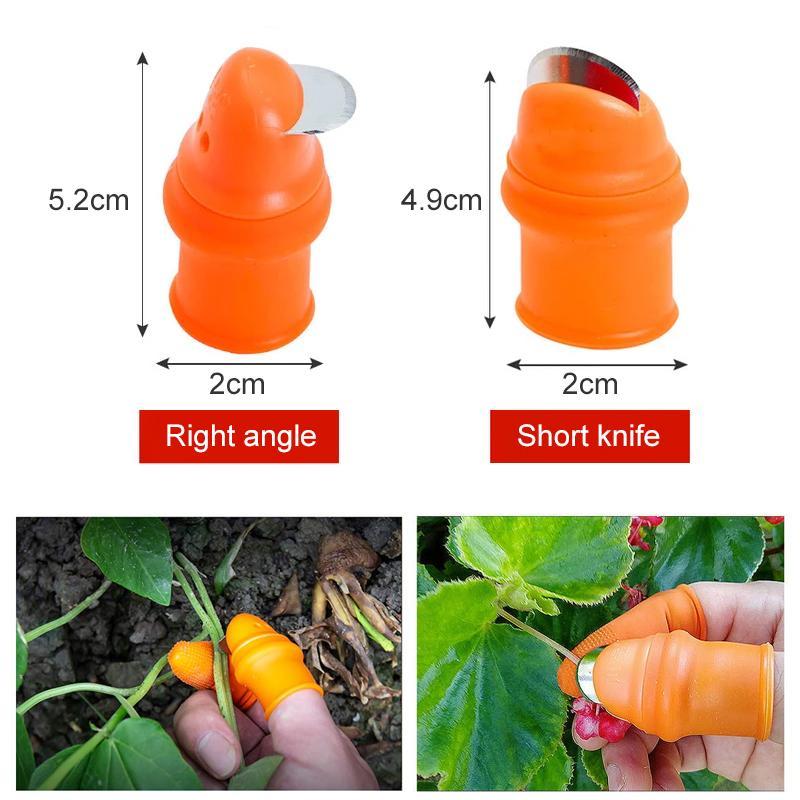 (50% Off Today) Harvest vegetables, harvest fruits thumb measure