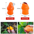 (50% Off Today) Harvest vegetables, harvest fruits thumb measure