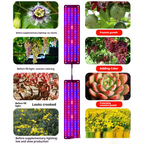 LED Quantum Plant Light Panel for Growth and Color Promotion – With Adjustable Light Mode