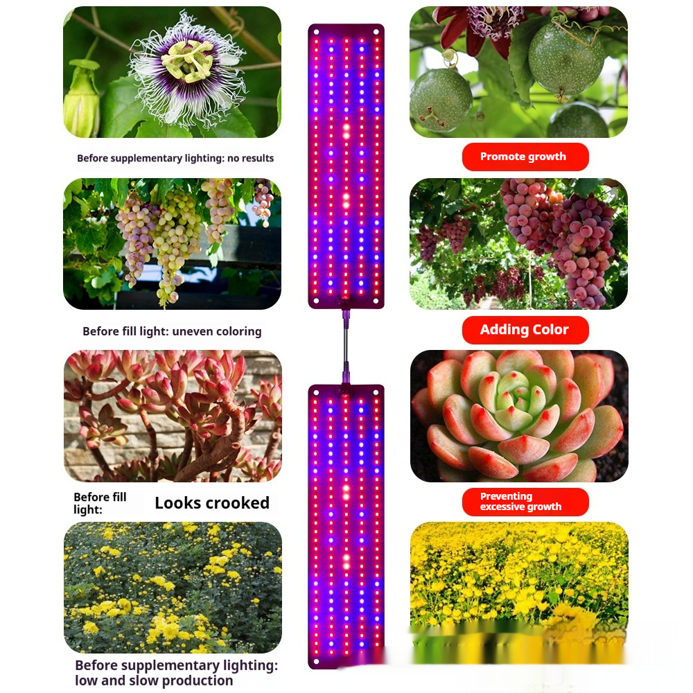 LED Quantum Plant Light Panel for Growth and Color Promotion – With Adjustable Light Mode