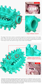 Cactus Chew Ball / For Dogs