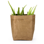 Stylish plant pots made of paper for modern decoration