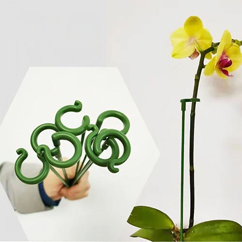 Plant Supports Stake