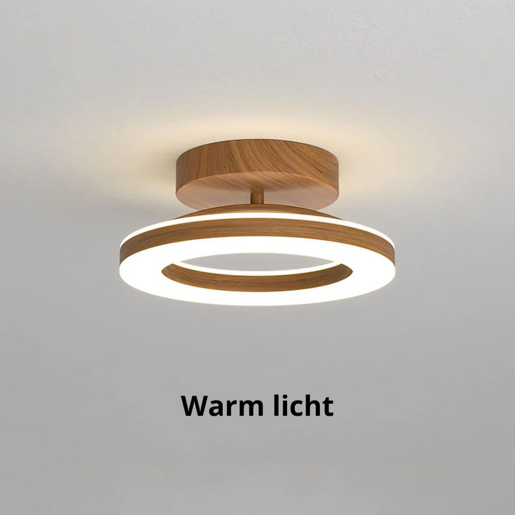 Round Ceiling Lamp LED Acrylic for Hall and Entrance
