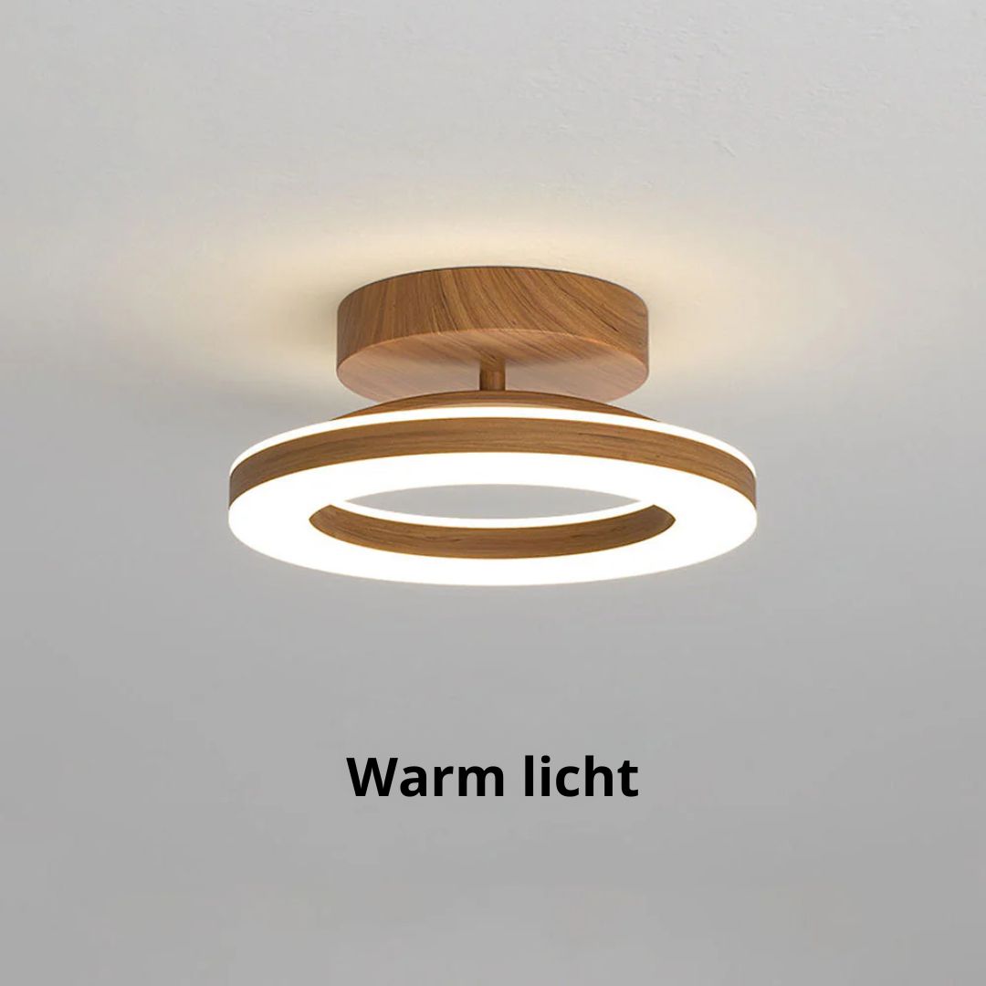 Round Ceiling Lamp LED Acrylic for Hall and Entrance