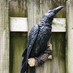 Noctura Realistic Decorative Raven – Atmospheric Decoration for Home & Garden