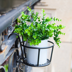 Hanging Plant Basket made of Metal – Balcony Planter Pot with Hook for Garden and Terrace