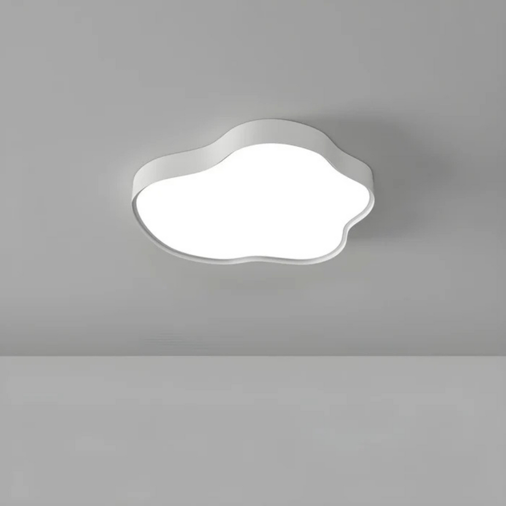 Stylish LED Ceiling Lamp