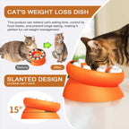 Weight Loss Cat Bowl – Slow Feeder Anti-Gulp Design